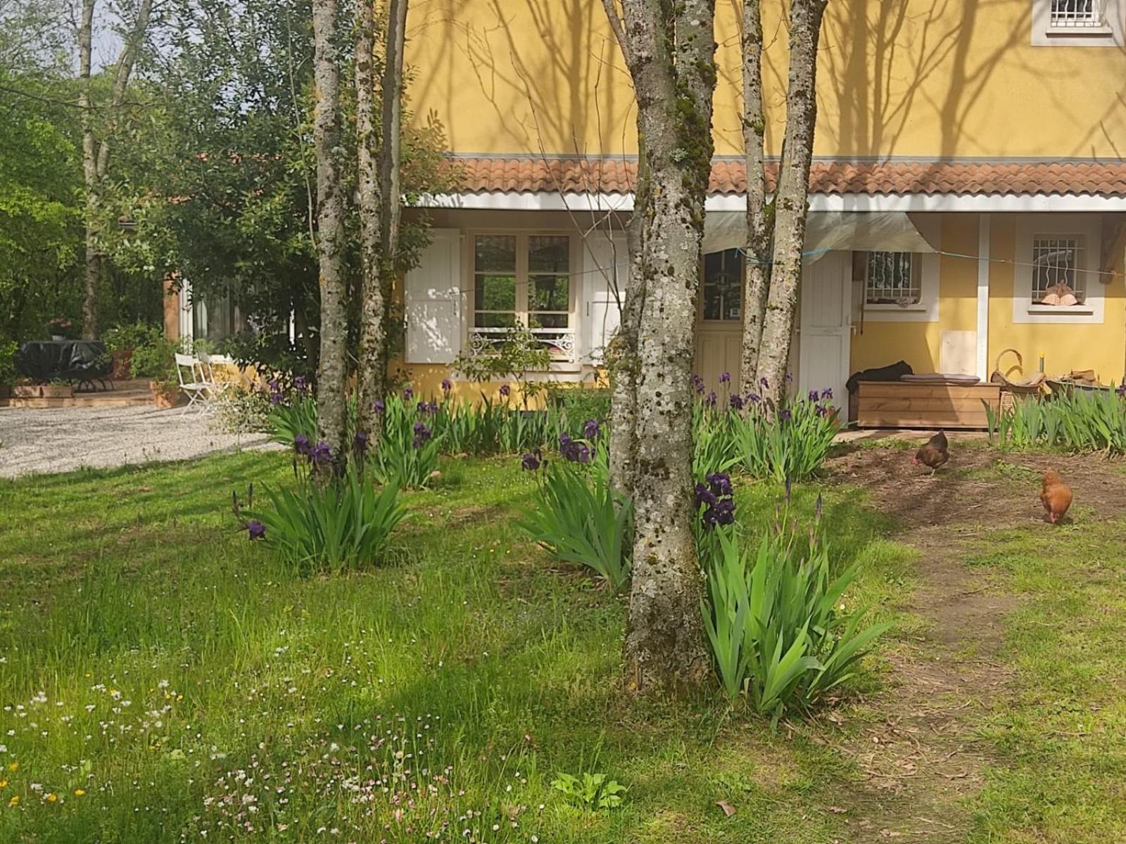 Saint-Cyr-sur-le-Rhone La Frenaie Bed & Breakfast エクステリア 写真